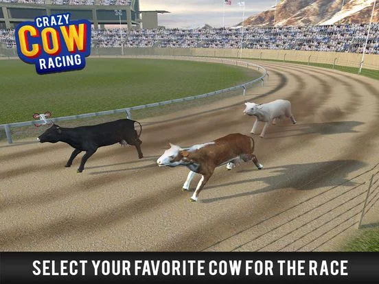 Изображение игры: Cow Racing Free Game