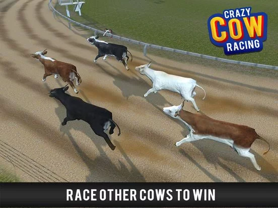 Изображение игры: Cow Racing Free Game