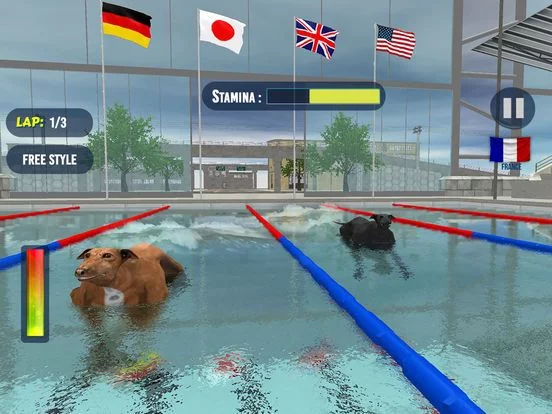 Изображение игры: Dog Swimming Race