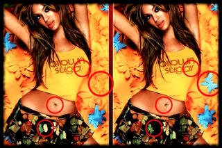 Изображение игры: Adult Spot the Differences