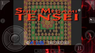 Изображение игры: Shin Megami Tensei (ENG)