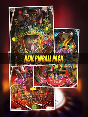 Изображение игры: Age of Pinballs
