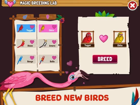 Изображение игры: Birdland Paradise