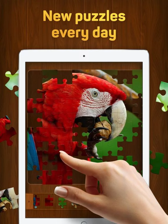 Изображение игры: Jigsaw Puzzles for You