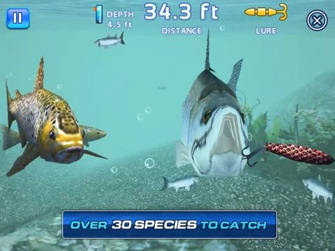 Изображение игры: Fishing Kings Free+