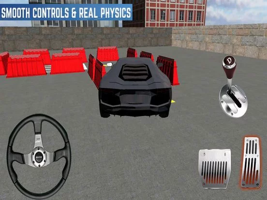 Изображение игры: Sports Car Parking Sim