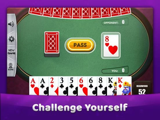Изображение игры: Gin Rummy Cards Game