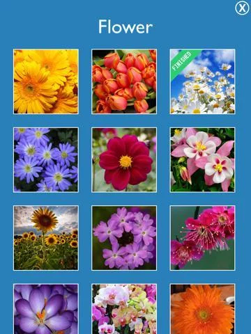 Изображение игры: Puzzle All