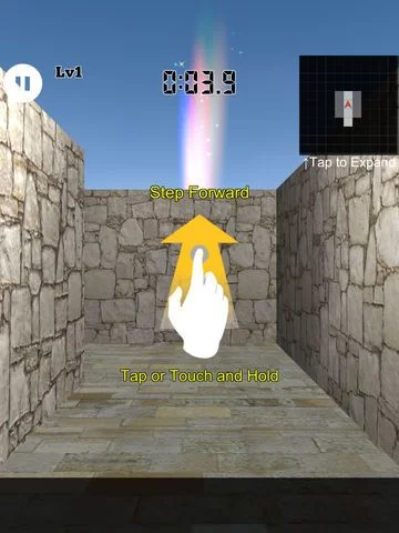 Изображение игры: 3D Maze Level 100