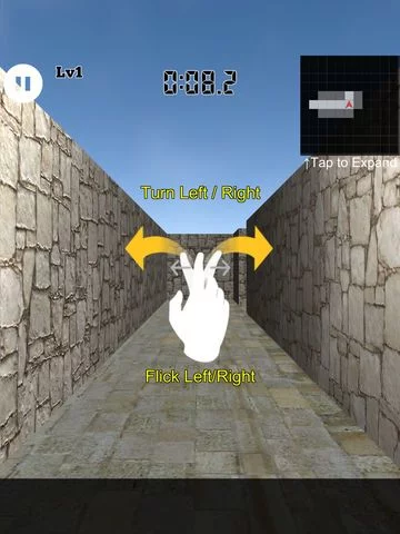 Изображение игры: 3D Maze Level 100