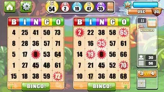 Изображение игры: Bingo Casino!!