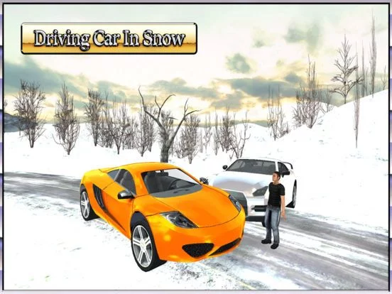 Изображение игры: Car Driving 3D: Free Snow Hill Landscape Simulator 2016