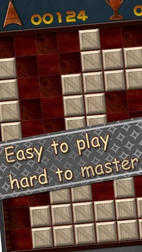 Изображение игры: Wooden Block Puzzle Game