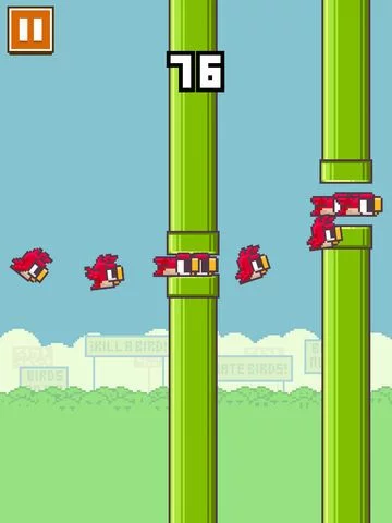 Изображение игры: Birds no More