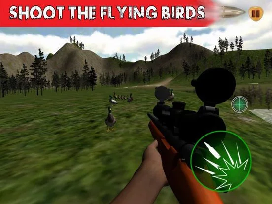 Изображение игры: Sniper Skill Duck Hunting