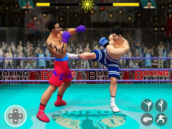 Изображение игры: Ninja Punch Boxing