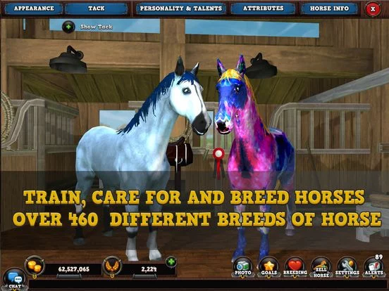 Изображение игры: Horse Academy 3D