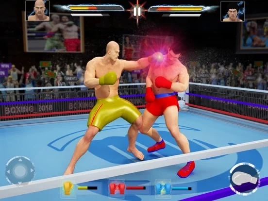 Изображение игры: Play Boxing Games 2018