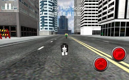 Изображение игры: Neko Simulator NekoZ