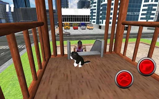 Изображение игры: Neko Simulator NekoZ