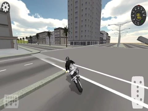 Изображение игры: Extreme Motorbike Racer 3D