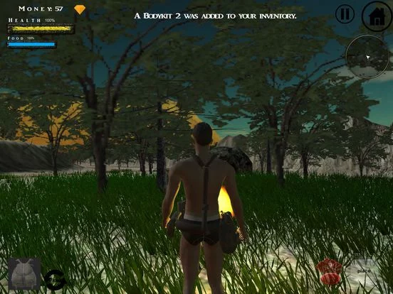 Изображение игры: Survival World 3D