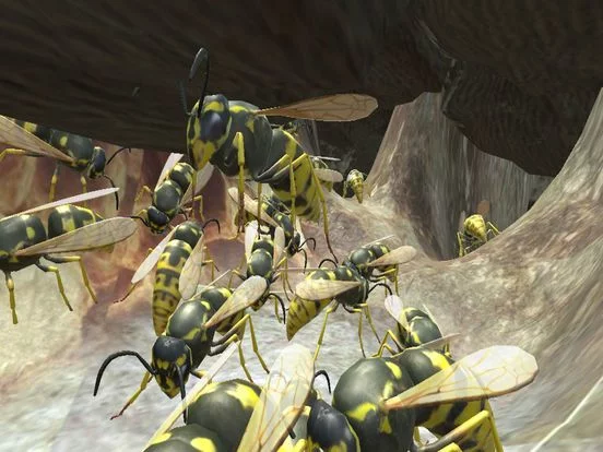 Изображение игры: Wasp Nest Simulator 3D
