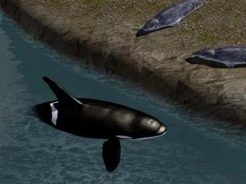 Изображение игры: Orca Whale Simulator