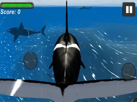 Изображение игры: Orca Whale Simulator