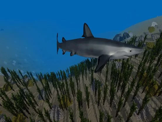 Изображение игры: Shark Simulator 3D 2016 - Ocean animals