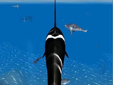 Изображение игры: Orca Whale Simulator