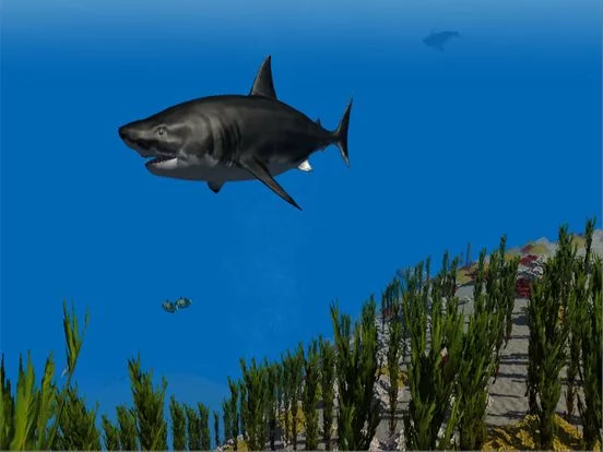 Изображение игры: Shark Simulator 3D 2016 - Ocean animals