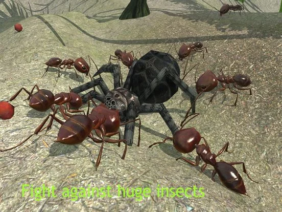 Изображение игры: Ant Simulator 3D