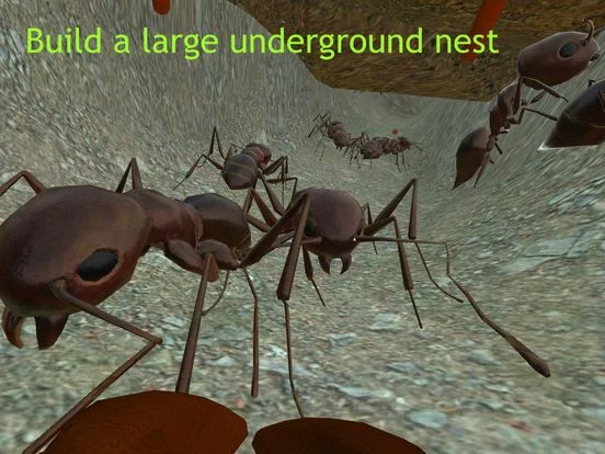 Изображение игры: Ant Simulator 3D
