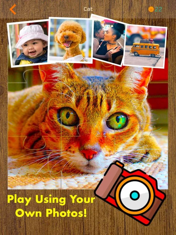 Изображение игры: Jigsaw Puzzle·