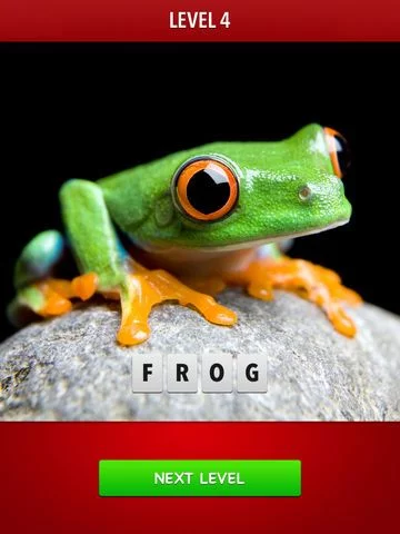 Изображение игры: Zoom! - Magnified Pics