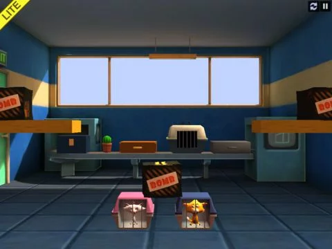 Изображение игры: Crazy Cats Love Lite