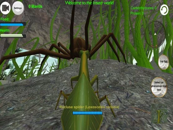 Изображение игры: Praying Mantis Simulator 3D