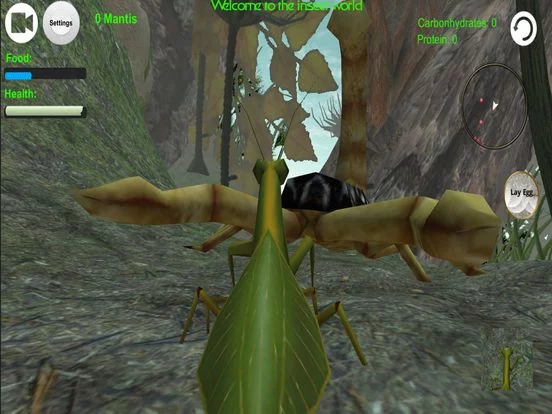 Изображение игры: Praying Mantis Simulator 3D