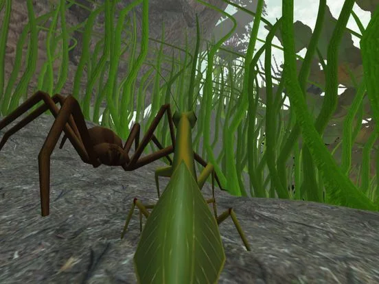 Изображение игры: Praying Mantis Simulator 3D