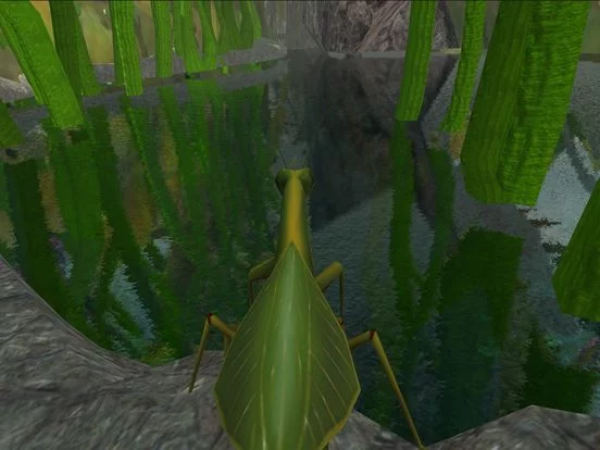 Изображение игры: Praying Mantis Simulator 3D