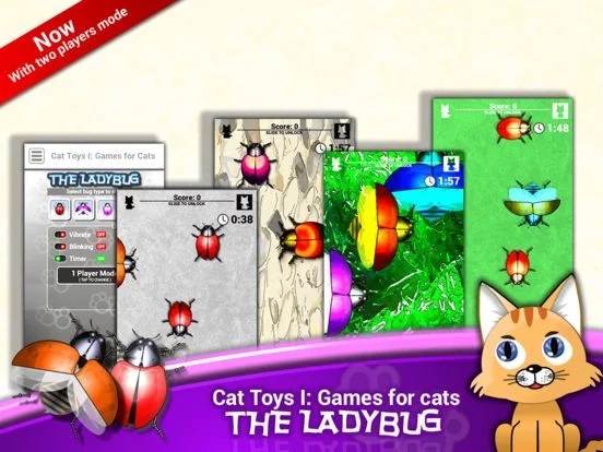 Изображение игры: Cat Toys I: Games for Cats