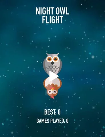 Изображение игры: Night Owl Flight
