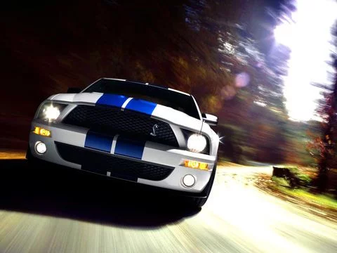 Изображение игры: Mustang Racers: Unleashed