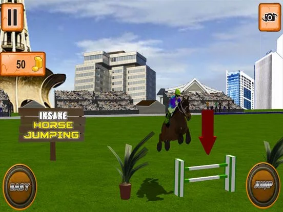 Изображение игры: Horse Jumping Tournament 2018