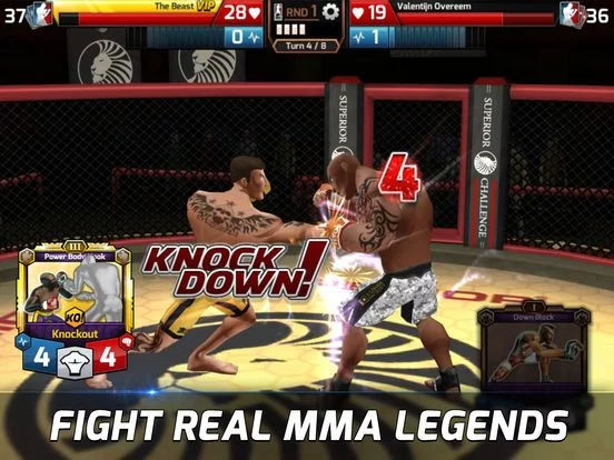Изображение игры: MMA Federation - The Fighting Game