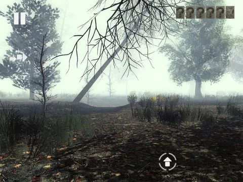 Изображение игры: Slender Man Dark Forest