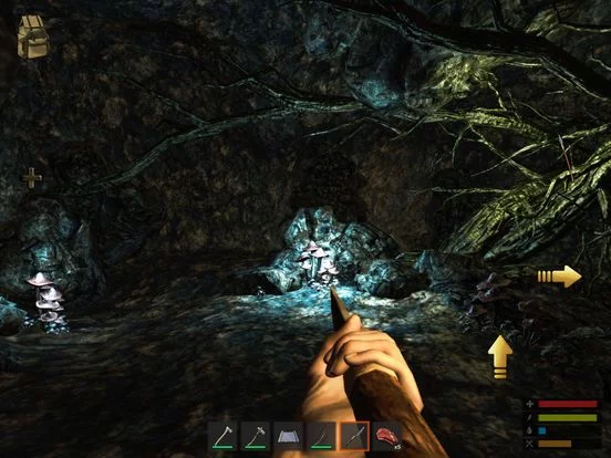 Изображение игры: Survive: The Lost Lands
