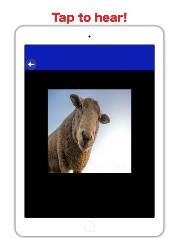 Изображение игры: Farm Zoo: fun animal games for boys and girls free
