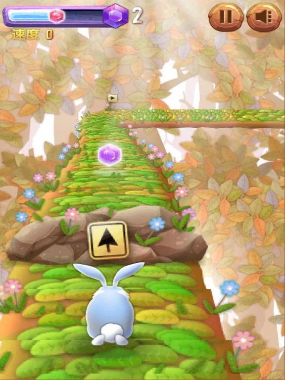Изображение игры: Rabbit Run Run Run!